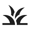 grass_100dp_1F1F1F_FILL0_wght400_GRAD0_opsz48